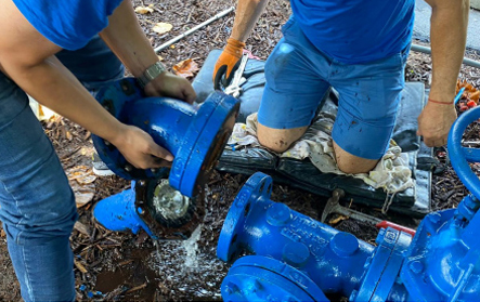 Compressible Flow Valve